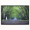 Designart - Arched Trees Over Country Road - Landscape Photography Canvas Print in Black Frame